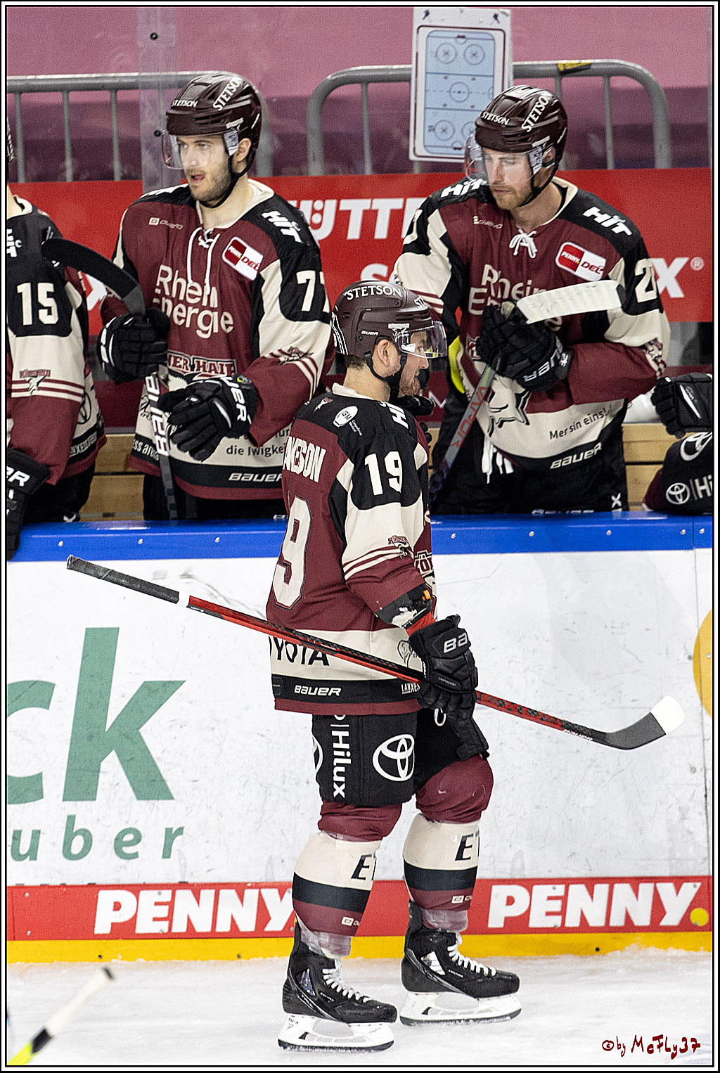 PENNY DEL;  Koelner Haie - ERC Ingolstadt; Koeln, 01.04.2021